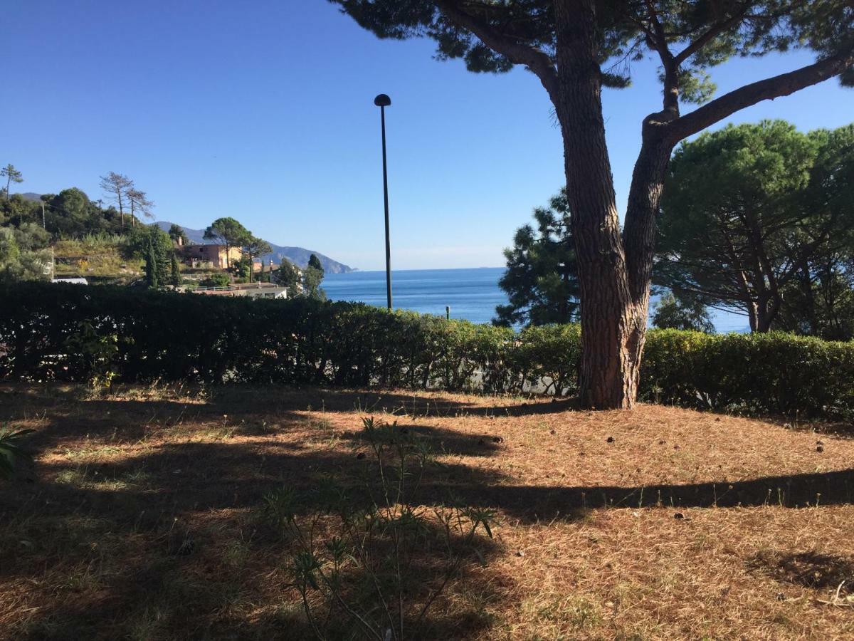 Apartamento Il Nido Della Gazza Monterosso al Mare Exterior foto